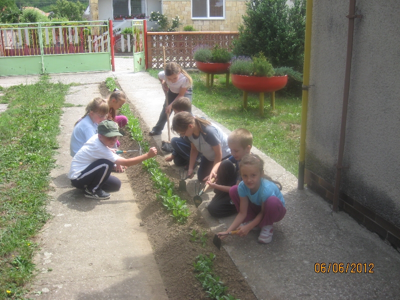 Fotogaléria Kvetinový záhon (2) Kvetinový záhon
