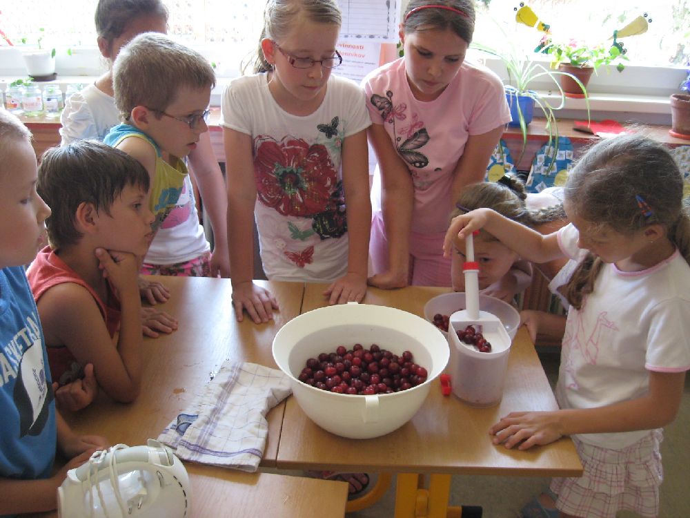 Fotogaléria Pečenie koláča (5) Pečenie koláča
