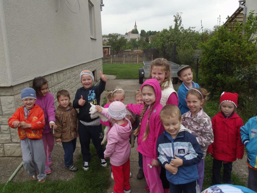 Fotogaléria Návšteva u Šebov - kozliatka (9) Návšteva u Šebov - kozliatka