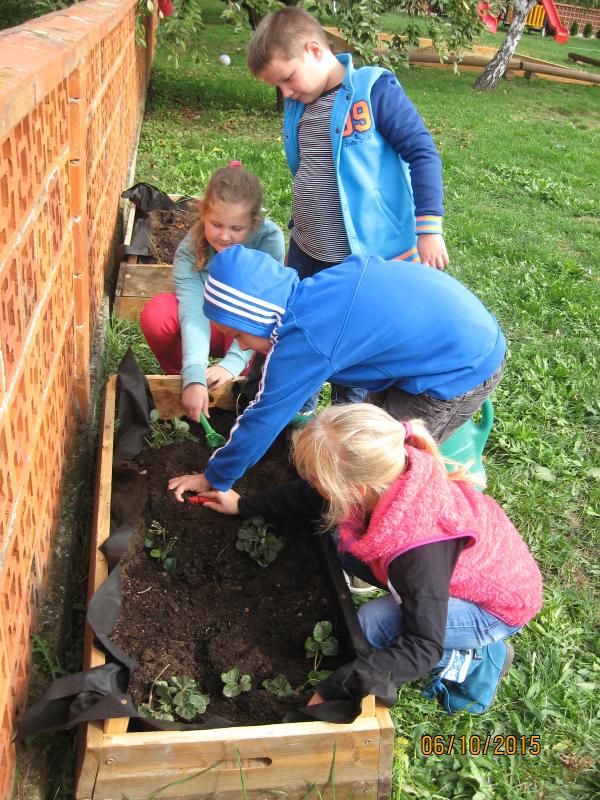 Fotogaléria Školská záhradka (4) Školská záhradka